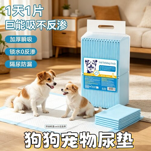 狗狗尿垫加厚除臭防漏一次性吸尿纸尿片锁水大码免洗高吸干爽款