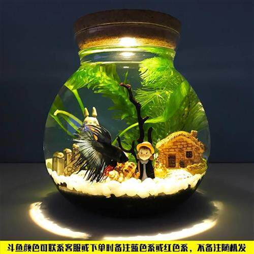 生态瓶diy材料包水族小学科学生态瓶材料微景观小型装饰桌面观赏