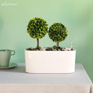 欧式 创意长方形懒人室内绿萝花盆简约桌面自动吸水花盆塑料多肉盆