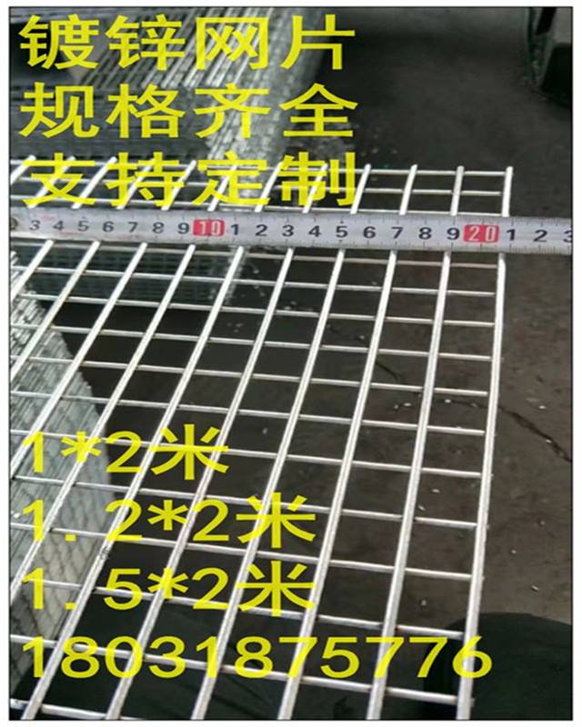 镀锌小孔网片加粗围栏养殖防护狗笼钢筋铁丝网网帘金属装饰隔断网