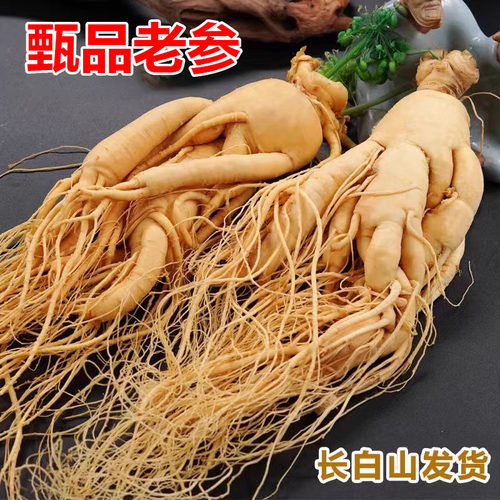 正品特级吉林人参高皂苷高年大参