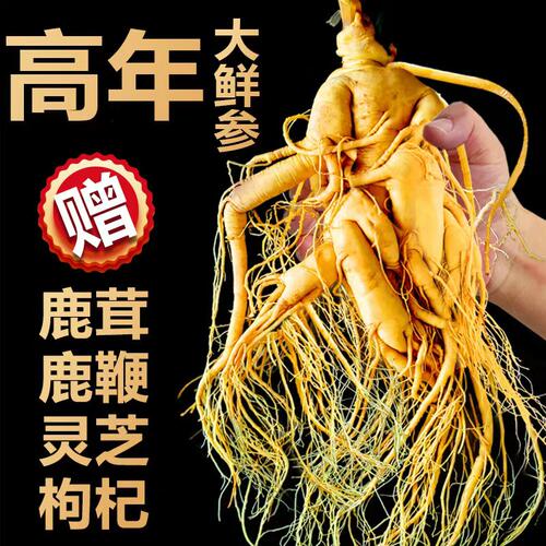 长白山人参整支东北特产高品质大参送礼鲜参吉林人参煲汤泡酒专用