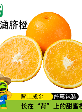 溆浦脐橙3斤酸甜可口 | 有问题请联系客服