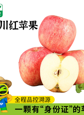 【MAP】洛川红富士苹果85-90mm*5斤普通箱装 脆甜