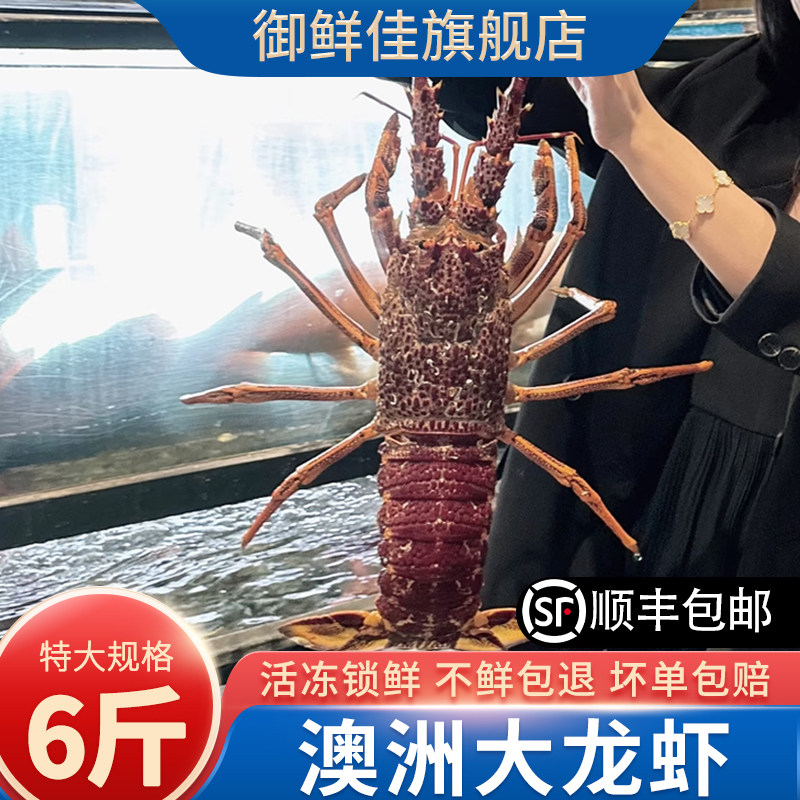大澳龙鲜活冷冻澳洲大龙虾6斤特大波龙虾年货送礼海鲜水产大礼包