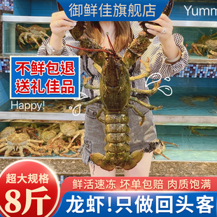 波士顿龙虾鲜活冷冻8斤大龙虾海鲜年货大礼包水产特大波龙澳龙虾