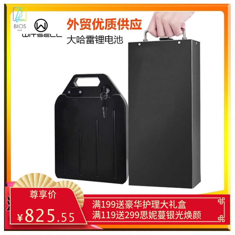 48V60V 电动摩托车哈雷车X7X10款电池大容量锂电池可拆卸带外壳