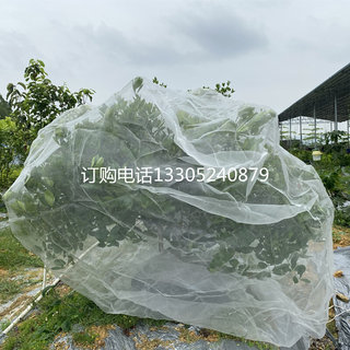 户外苹果防虫网罩樱桃杨梅嘉宝果树木网纱套阳台植物防蚊防鸟用网