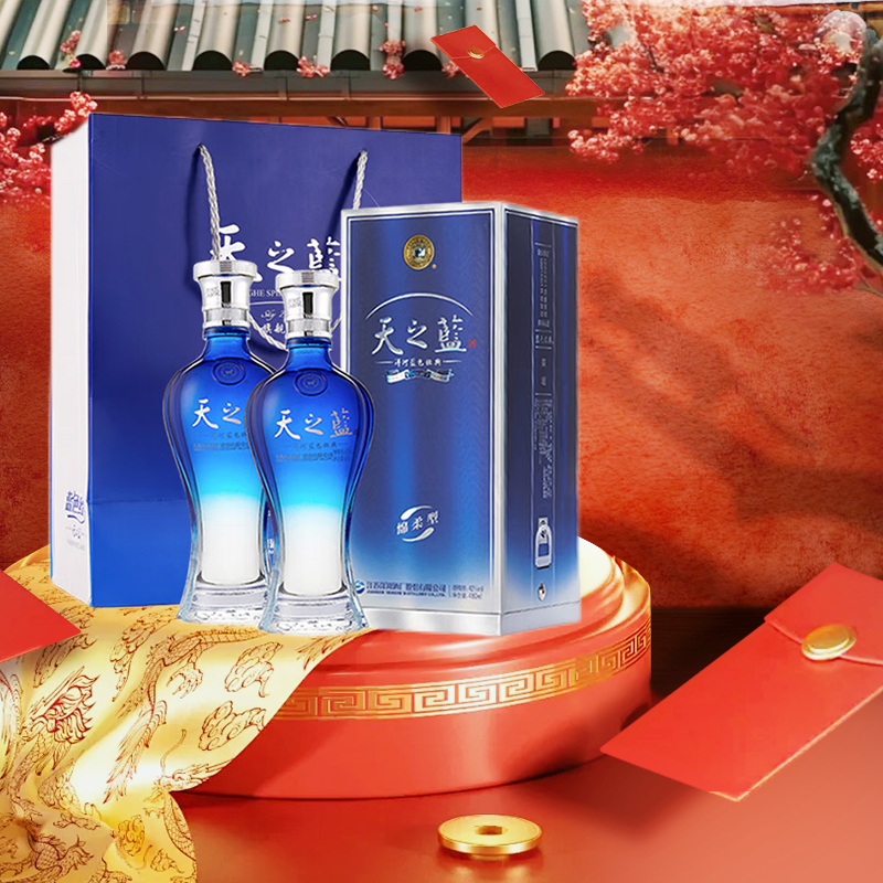 洋河天之蓝42度480ml*2双支白酒