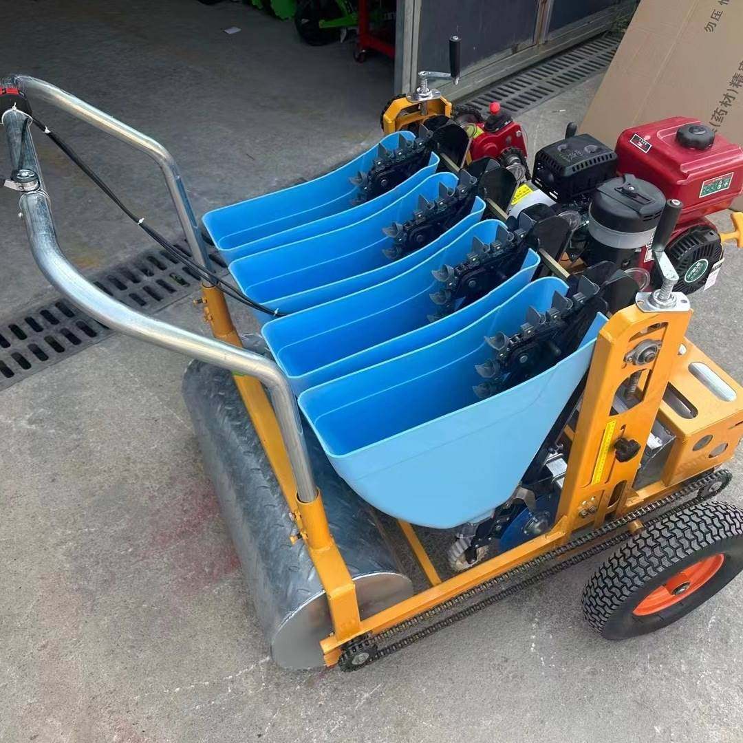 汽油机带动大蒜播种机 农用小型大蒜种植机 多行播种机,农机/农具/农膜,农机配件,淘宝优惠券,粉丝福利购,淘宝优惠卷
