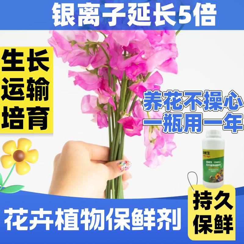 鲜花卉绿植物玫瑰蝴蝶兰银离子运输切插花营养液保鲜防腐防焉坏剂