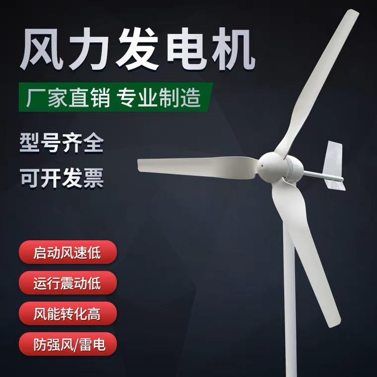 足功率小型风力发电机家用风光互补路灯户外船用1000W12V24V220V