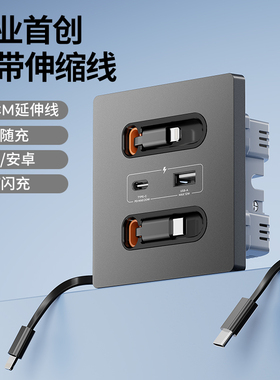 国际电工带充电线20W快充USB插座开关面板86型手机充电Type-c床头
