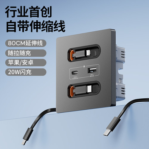国际电工10A86型带线快充USB