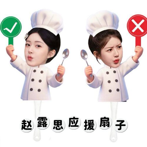 赵露思对错牌应援扇子周边应援物料演唱会粉丝拍照打卡牌双面不同