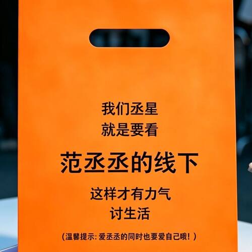 范丞丞礼品袋周边应援物物料包装袋演唱会粉丝线下互换打卡应援袋