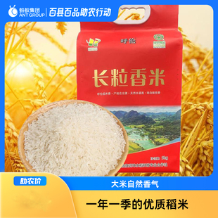 莫旗呼伦长粒香真空包装米10斤五谷杂粮包邮