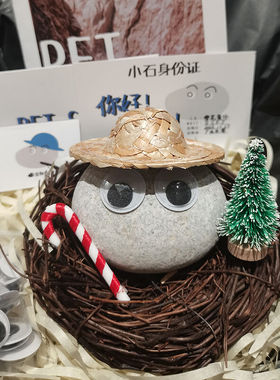 可爱宠物石头解压益智儿童玩具