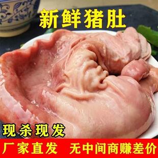 散养猪肚新鲜猪肚肚子特厚生猪整只农家干净猪胃无油批发冷冻