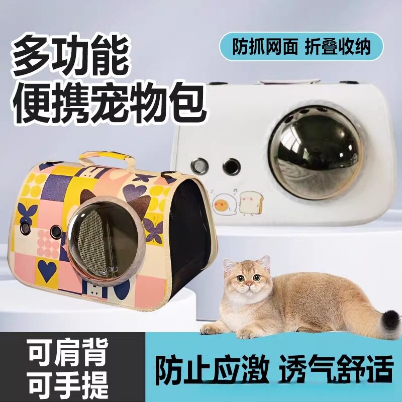 蜥蜴爬宠专用便携外带手提包鬃狮