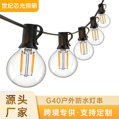 跨境热销G40LED灯串230V欧规户