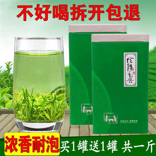 毛尖绿茶信阳毛尖2024新茶散装毛尖茶叶正宗雨前毛尖茶500g浓香型