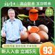 杨博士散养土鸡蛋当天现捡现发鸡蛋新鲜正宗农家散养鸡蛋50枚整箱