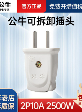 GNT-10L1S 公牛正品白色电源插头二脚两孔两脚二极二角两项2脚10a