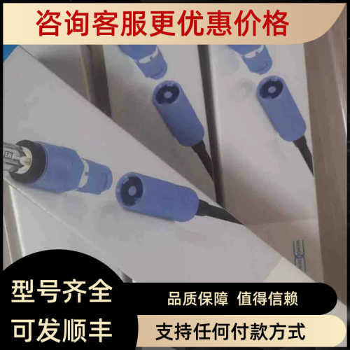 议价E+H探头CPS171D-NA7NTP2电极CPS171D-13T2/0探头电极议价