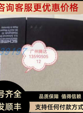 议价AZM-200ST2-T-1P2PWA安全门锁 101213245 AZM200ST-T-1P2P-25