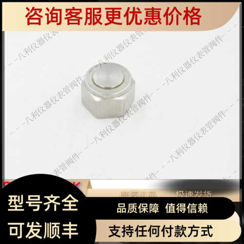 SWAGEL世伟洛克SS-1010-P卡套管接头用5/8in. 316 锈钢堵塞