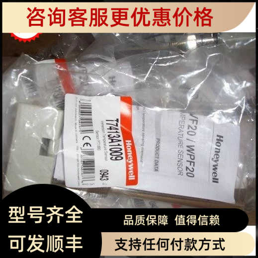 浸入式温度传器T7413A1009 pt1000探头大促