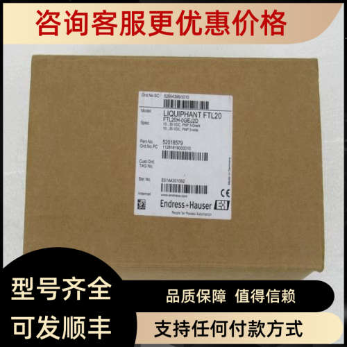 议价恩德斯豪斯E+H液位音叉 FTL20H-0GEJ2D