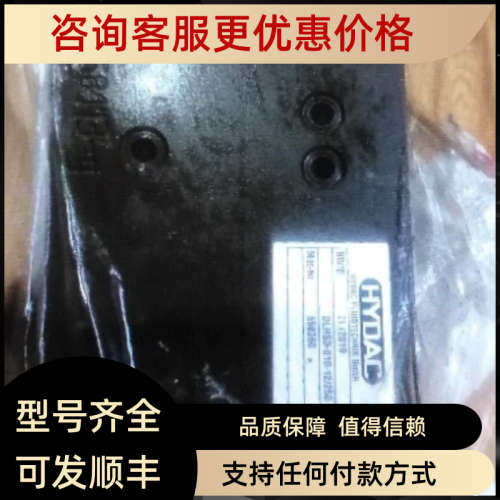议价DLHSD-010-16/250
