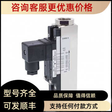 Meister流量计DKM/A-1/8 G 1/2 MS COC  可