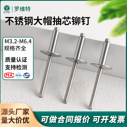 罗维特大帽檐抽芯铆钉不锈钢