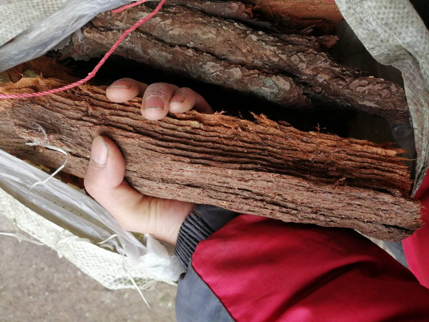 丁家院子胡蜂黄脚筑巢材料沙树皮红娘朽木杉树皮24一斤包邮红安树