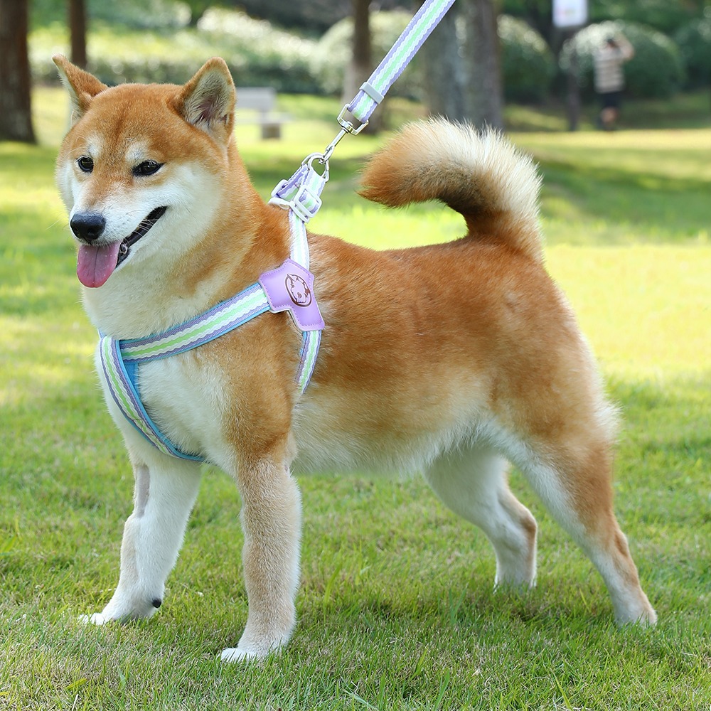 新款狗狗牵引绳胸背带背心式宠物遛狗绳中小型柴犬犬法斗柯基脖圈