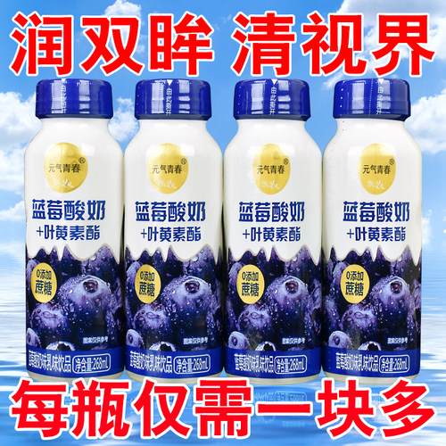 蓝莓酸奶叶黄素酯护视力早餐饮品