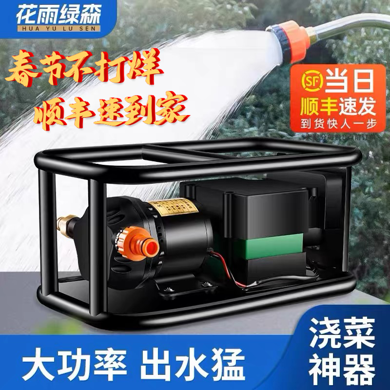 充电式大流量抽水神器农用户外灌溉抽水机井水浇菜地12V24V抽水泵