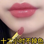 不掉不沾杯豆沙奶茶哑光防水滋润不易脱色口红 正品 官方旗舰店