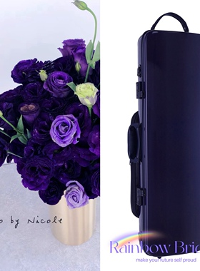 凝夜深紫色小提琴盒方型2.2kg三角&随型1.7kg哑光和亮光送防雨包