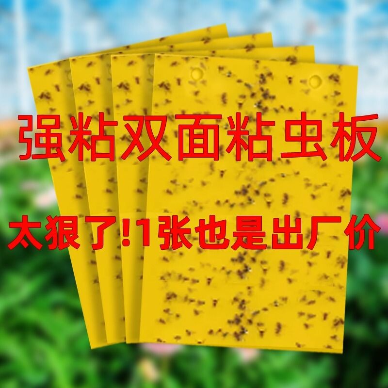 双面黄板粘虫板大棚诱果蝇