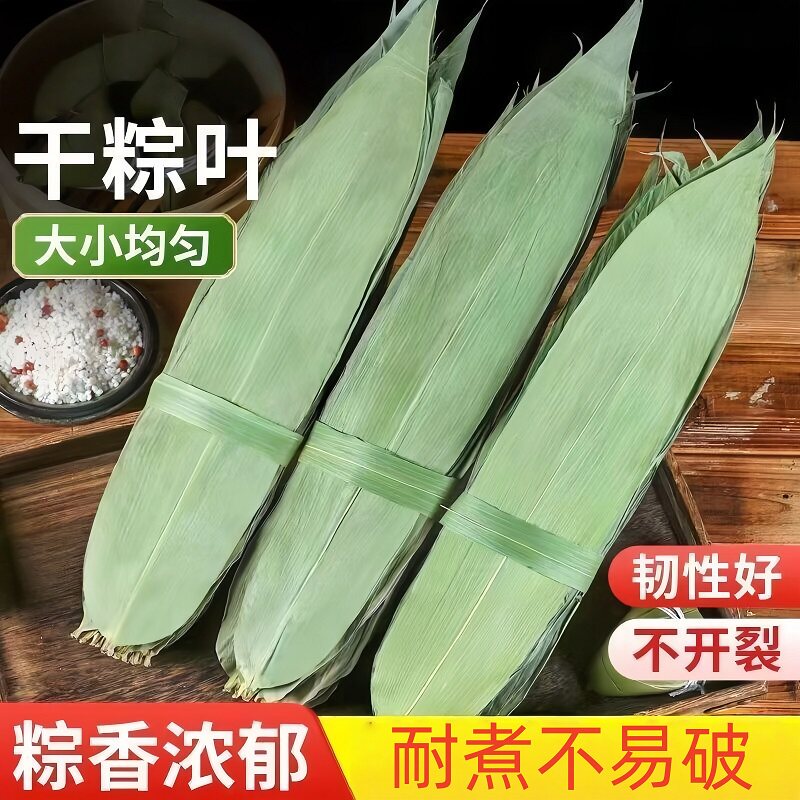 干粽叶特大号粽子叶免邮新鲜麻竹叶商家用箬叶批发包粽子材料送绳