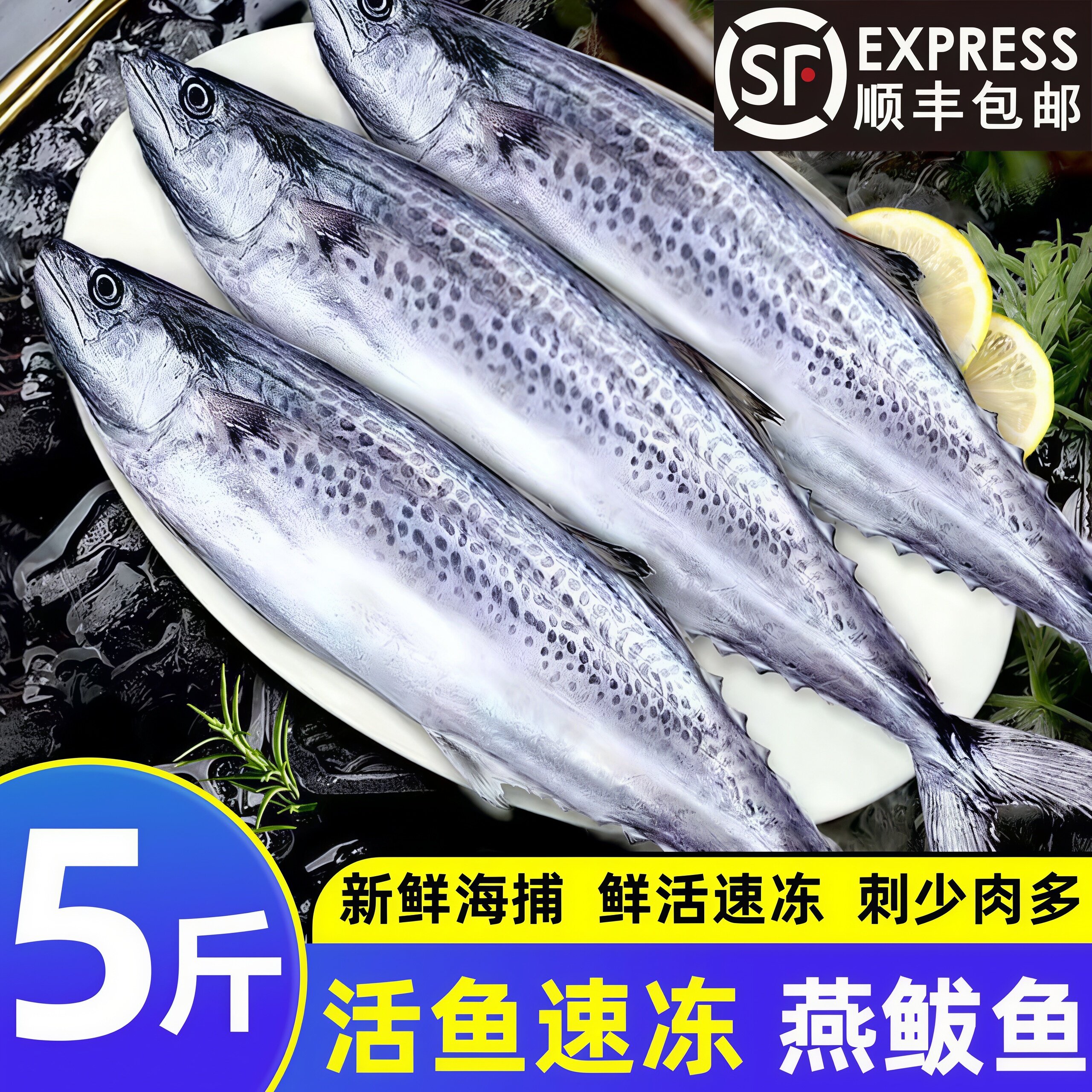 新鲜燕鲅鱼特大海捕新鲜速冻鲅鱼