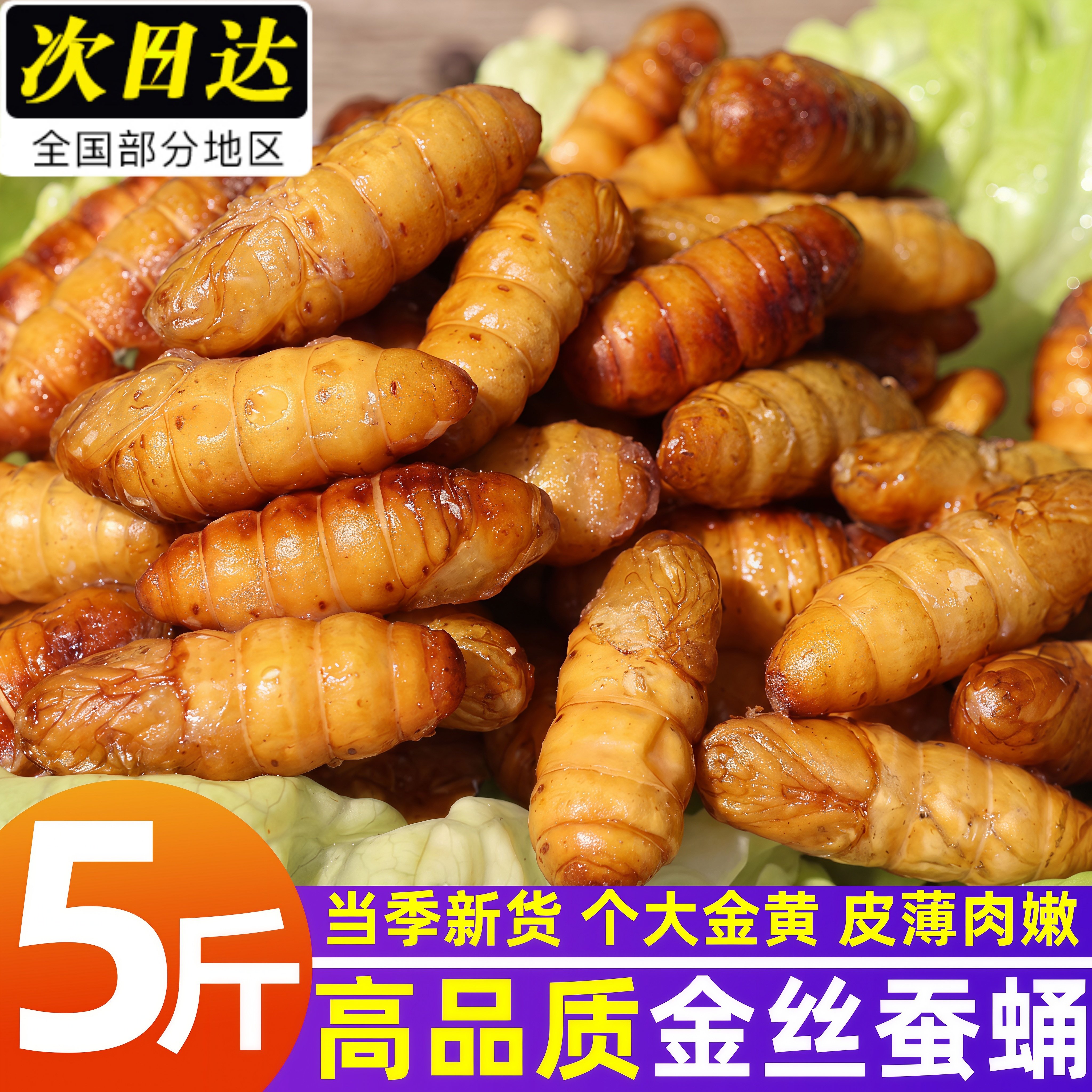 金丝蚕蛹鲜活新鲜冷冻山东特产