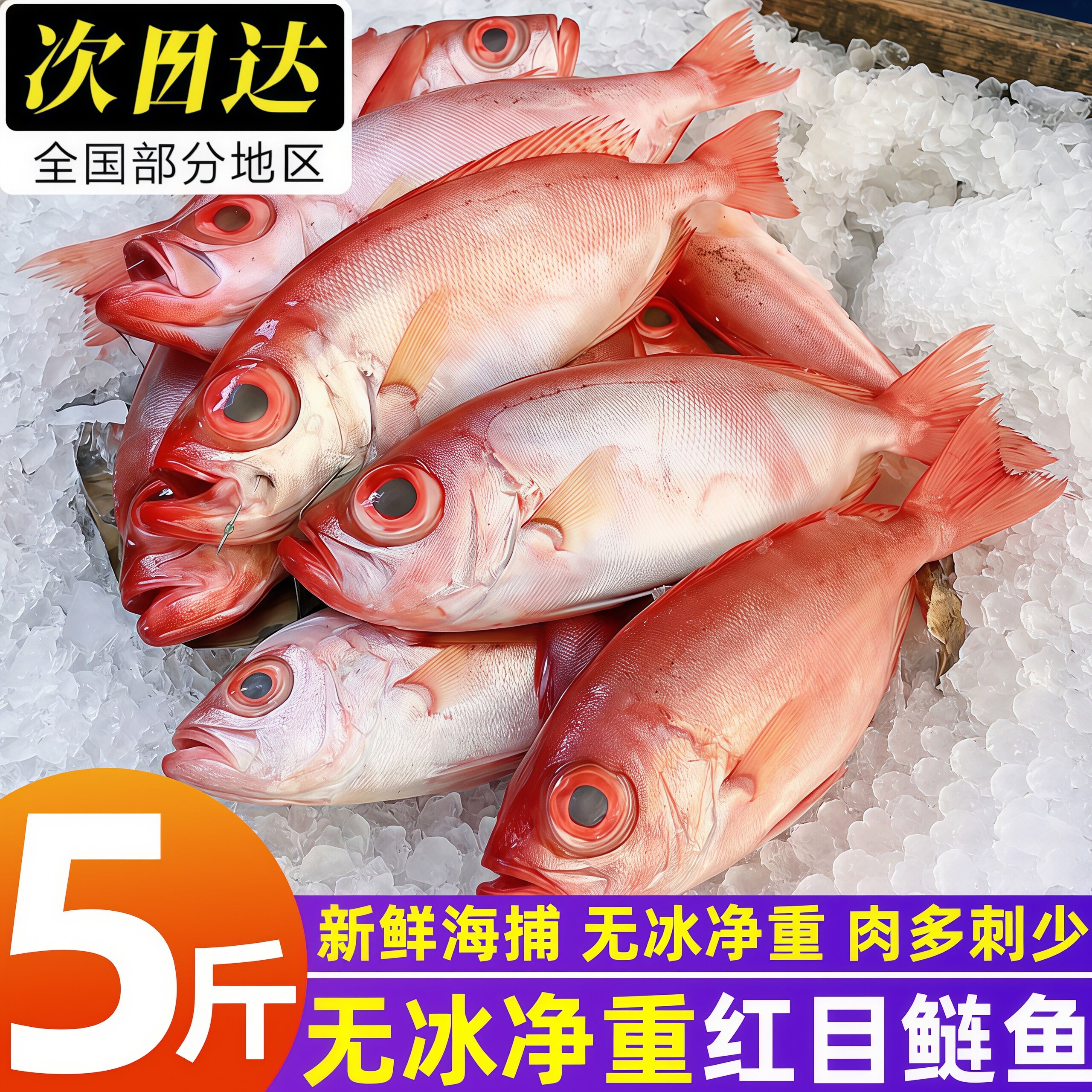 北海鲜冻红目鲢鱼大眼海鱼