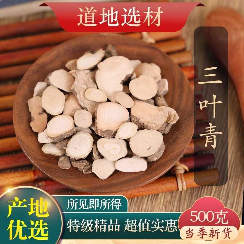 新鲜见血清三叶青中药中草药中药材鲜品室内桌摆四季常青开花植物