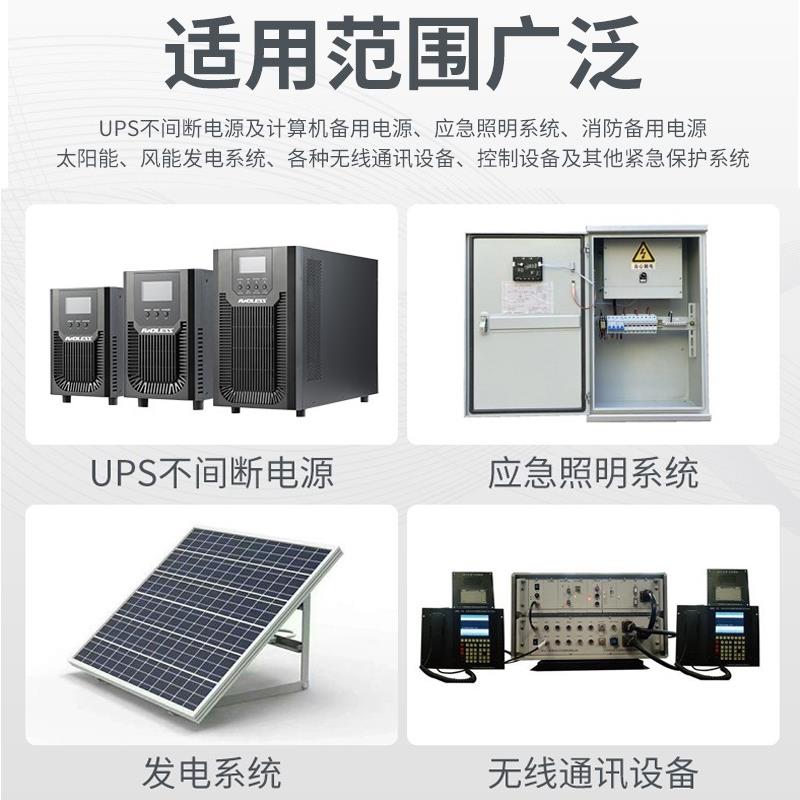 ANDLESS安德力士蓄电池6-GFM-100机房稳压备用电源机房电源