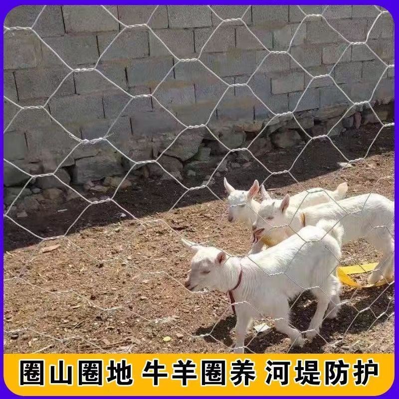铁丝网护栏网养殖牛羊猪围网拧花网六角网编织装饰钢丝网隔离栏删